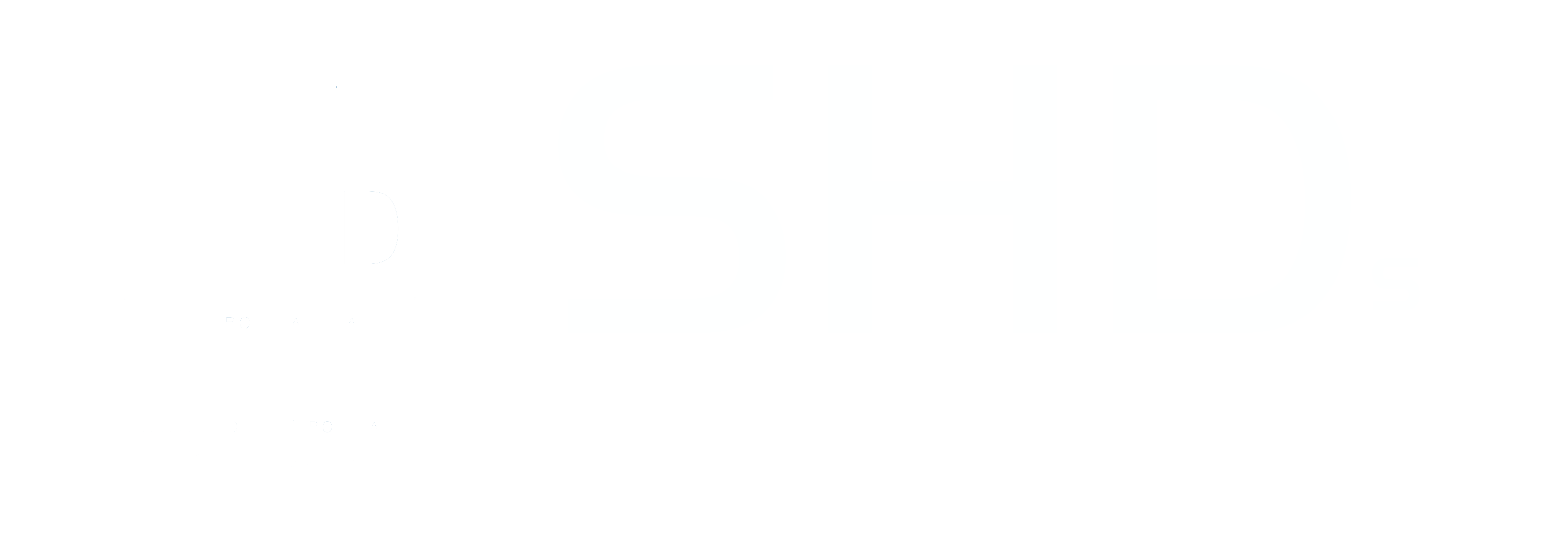 SHD Elettronica